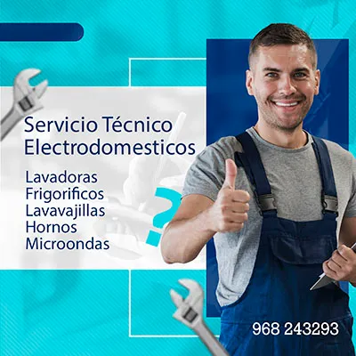 Espantar parque Natural agujas del reloj Servicio Técnico Oficial Bose